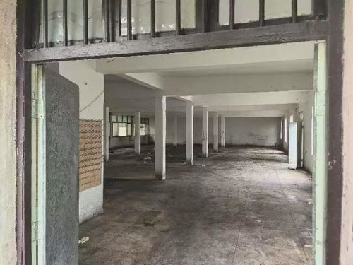 香飄飄食品寧波工廠被高價(jià)拍賣，銀箔畫收藏引發(fā)市場關(guān)注